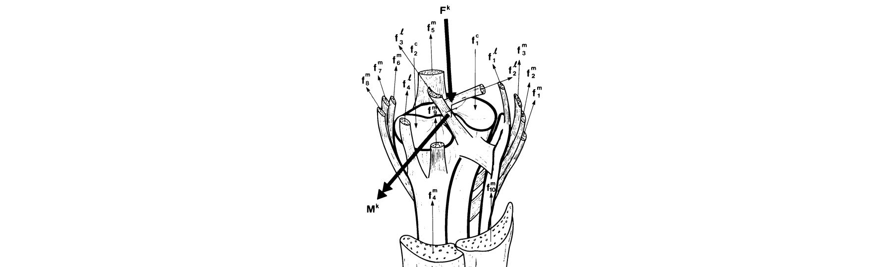 Joint Forces: What do joints really feel?